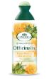 angelica shampo nutriente olio oliva-250
