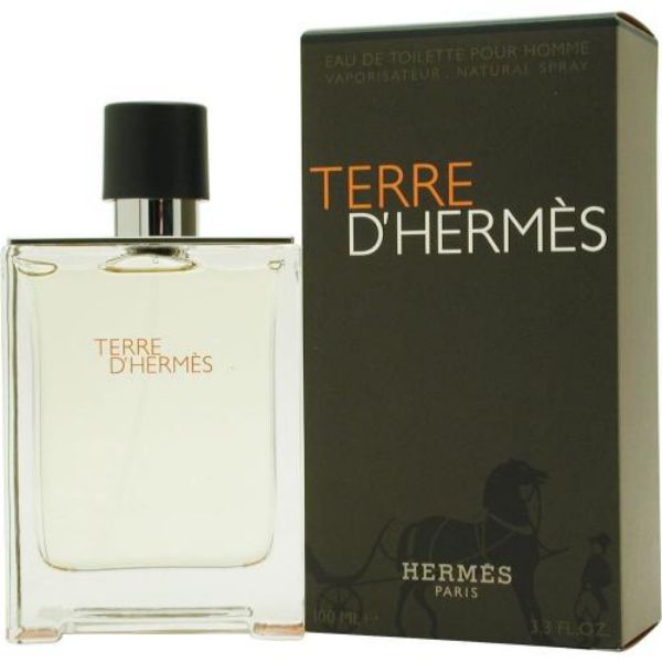 terre-d--hermes-edt-100-spr