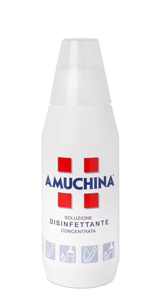 Picture of AMUCHINA DISINFET.ML.500