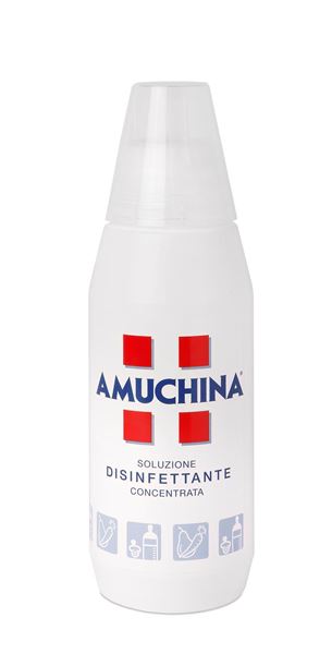 Immagine di AMUCHINA DISINFET.ML.500