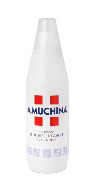 Immagine di AMUCHINA DISINFET.ML.1000