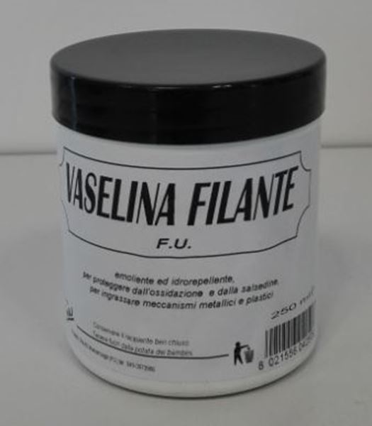 Immagine di VASELLINA VASO GR 250