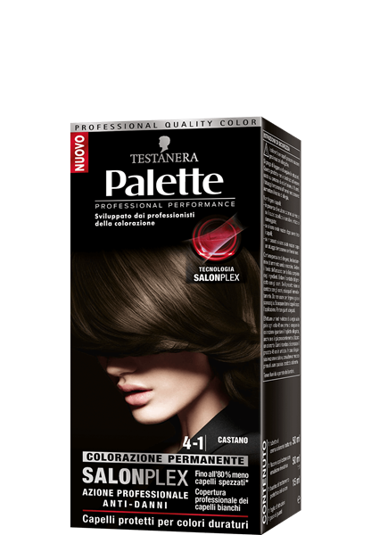 Picture of PALETTE HAIR COLOR 4-1 CHESTNUT