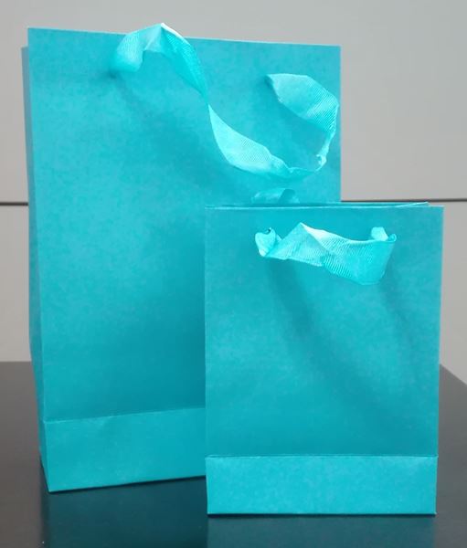 Immagine di SACCHETTI REGALO CARTA MANICO NASTRO 32X11X40 AZZURRO