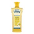 Immagine di SCHULTZ SHAMPOO CAMOMILLA RAVVIVANTE ML 50 TRAVEL SIZE