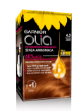 Immagine di GARNIER OLIA 6.3 CASTANO CHIARO DORATO
