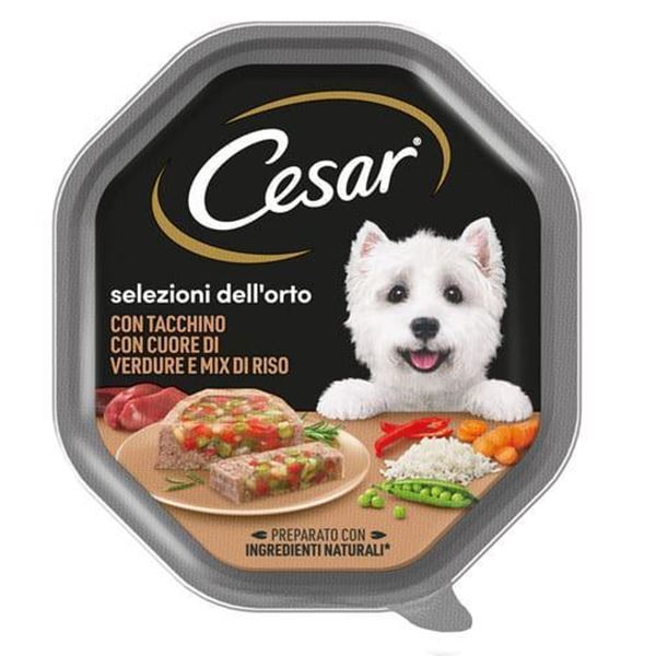 cesar