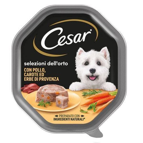 cesar-pollo