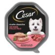 cesar