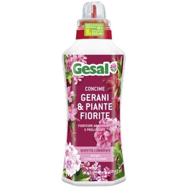 gesal-concime-gerani-piante-fiorite