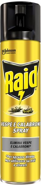 raid-vespe-calabroni