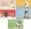 zerbino-home-pets