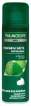 palmolive schiuma da barba spray mentolo 300 ml