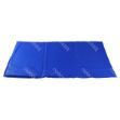 tappetino-refrigerante-blu