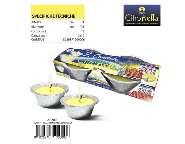 citronella-vasetto