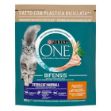 purina-one-gatto-croc-hairbal-pollo-gr--800
