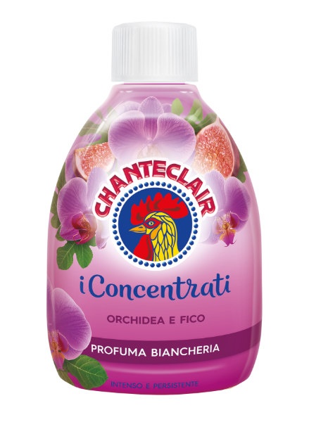 chante clair orchidea e fico
