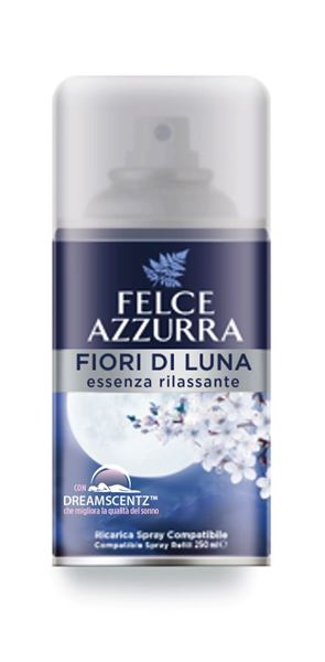 felce azzurra