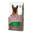 miglior cane
