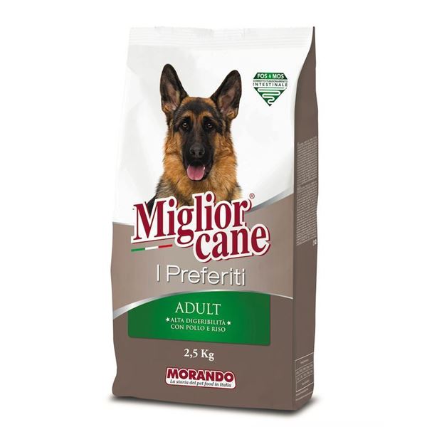 miglior cane