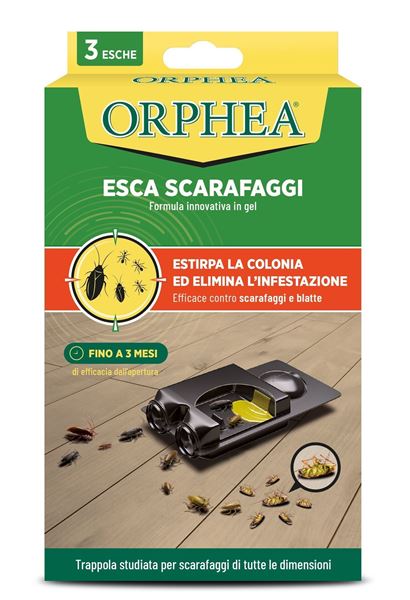 orphea esca scarafaggi