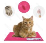 Immagine di MATERASSINO ANIMALI 40 X 30 CM ROSA /BLUE / BEIGE