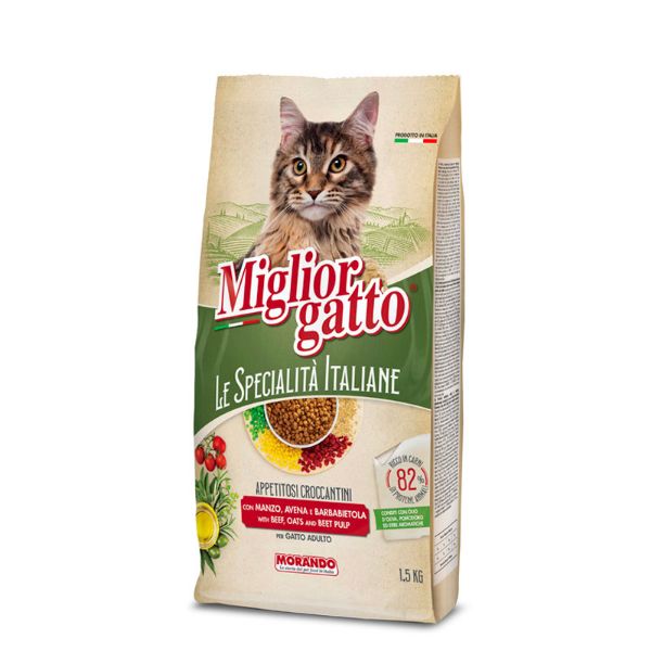 miglior gatto