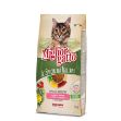 miglior gatto
