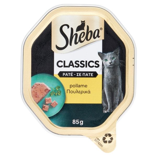sheba-pollo-gatto