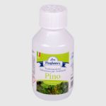 profumazione-balsamica-ambienti-pino-1