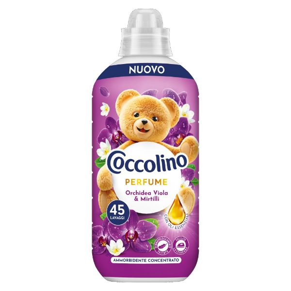 coccolino-orchidea-viola-mirtilli