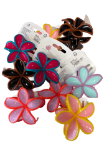 pinza-fiore-orchidea