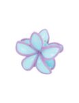 	pinza-fiore-orchidea