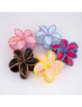 	pinza-fiore-orchidea
