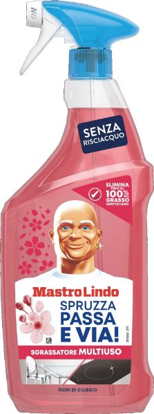 mastro-lindo-sgrassatore