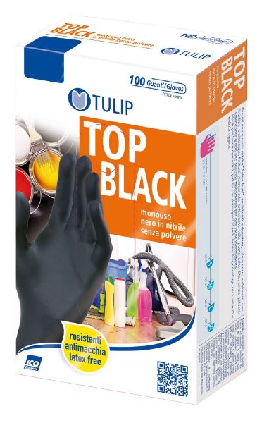 tulip