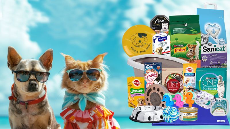 vacanza con il cane e il gatto